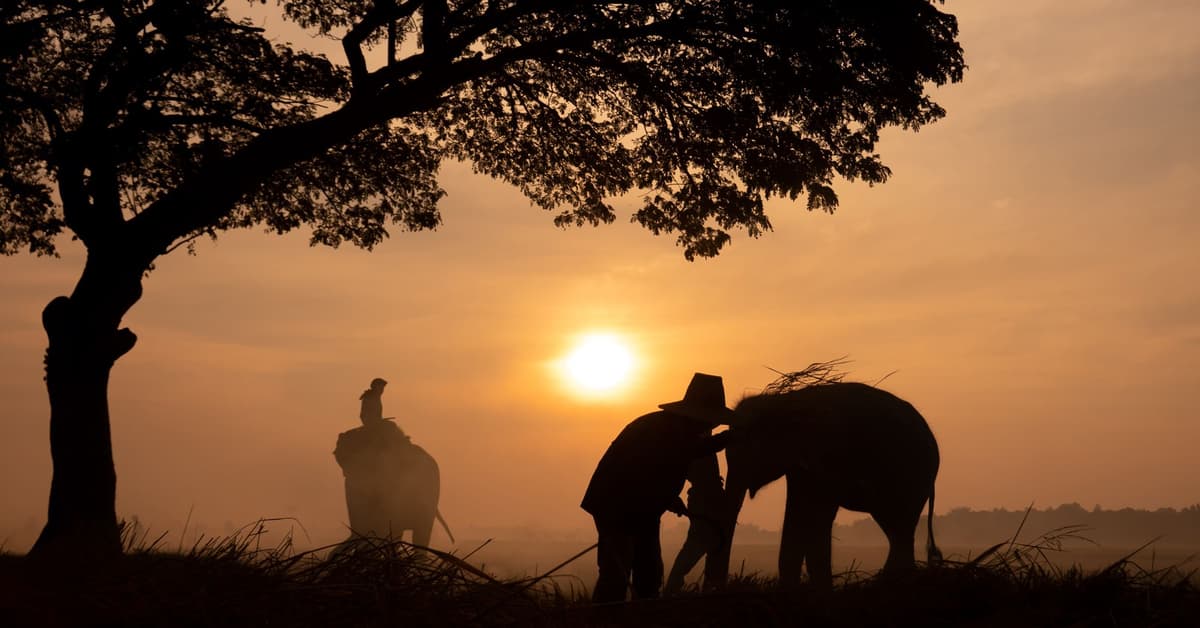 មាន​ចិត្ត​សប្បុរស​ហូរហៀរ  (សៀវភៅសេចក្ដីពិតសម្រាប់ជីវិត)