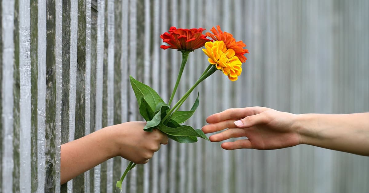 មាន​ក្តី​ស្រឡាញ់​ពិត​ប្រាកដ