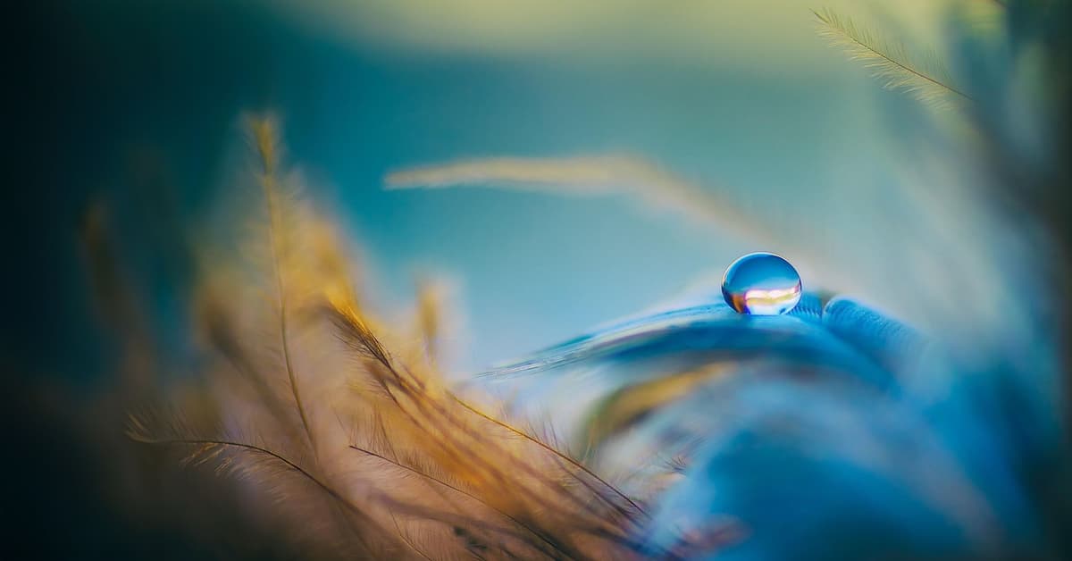 ផ្លូវ​នៃ​សន្តិភាព