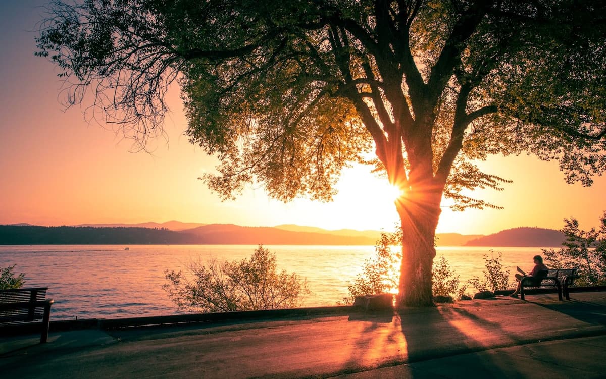 ស្វែងរកការសម្រាកក្នុងព្រះយេស៊ូវ