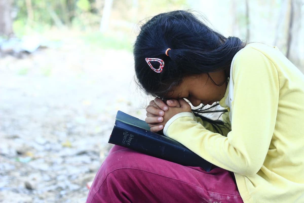 គ្រាប់ពូជនៃសេចក្តីជំនឿ