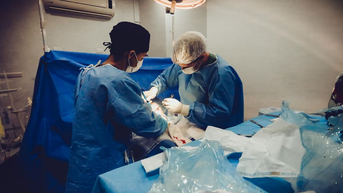 ការ​បង្រៀន​ដ៏​រំភើប​រីករាយ