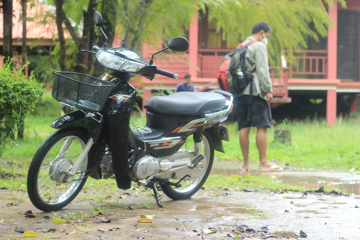 ពាក្យសម្រាប់បកស្រាយ អំពីការឈឺចាប់