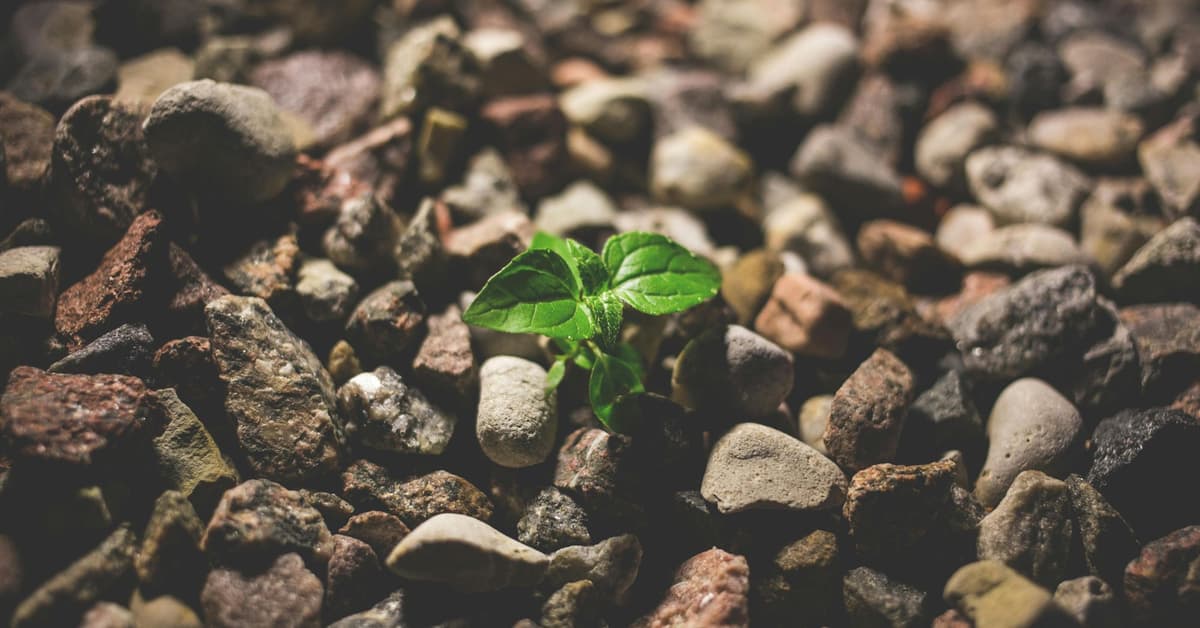 ជីវិត​ដែល​បង្ហូរ​ចេញ​ទៅ​មនុស្ស​ទាំង​អស់ (សៀវភៅសេចក្ដីពិតសម្រាប់ជីវិត)