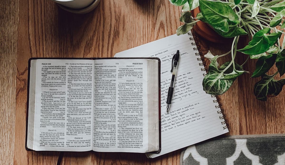 តើជាការកាត់ស្រាយ ឬជាសេចក្តីពិត?