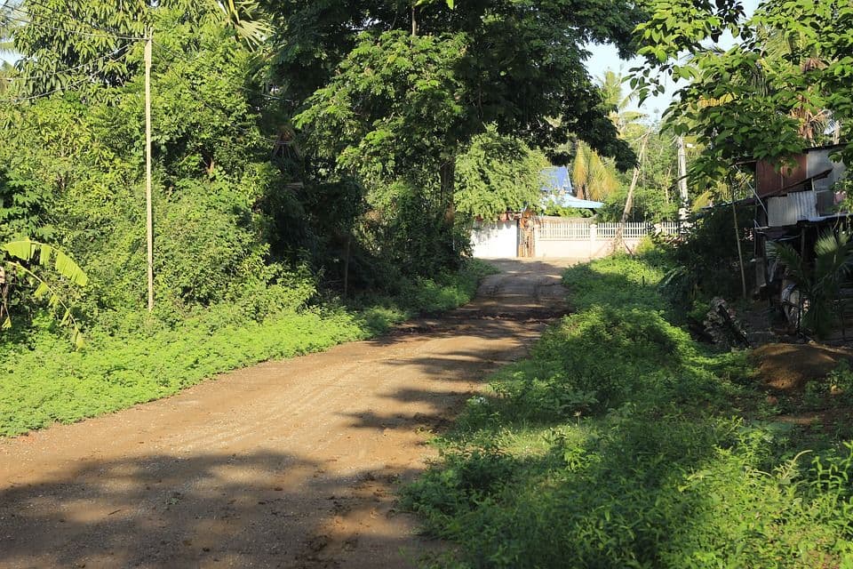 ផ្លូវនៃប្រាជ្ញានាំទៅរកក្តីអំណរ