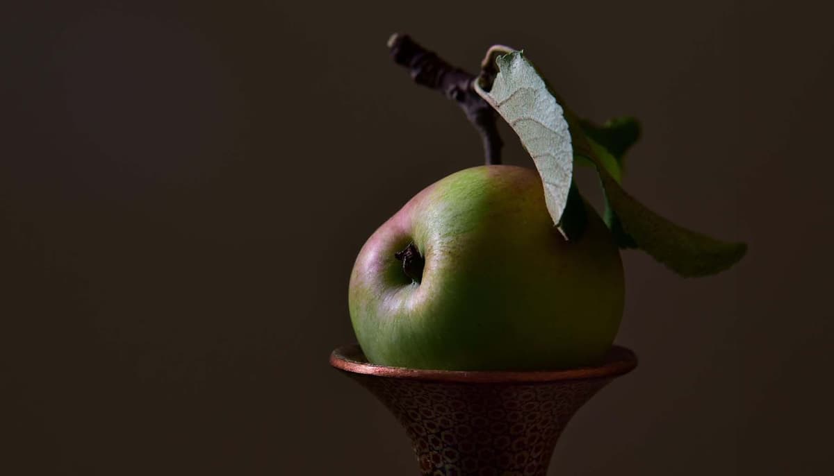 ក្តី​អំណរ នៅ​ក្នុង​សេចក្ដី​ល្បួង (សៀវភៅសេចក្ដីពិតសម្រាប់ជីវិត)