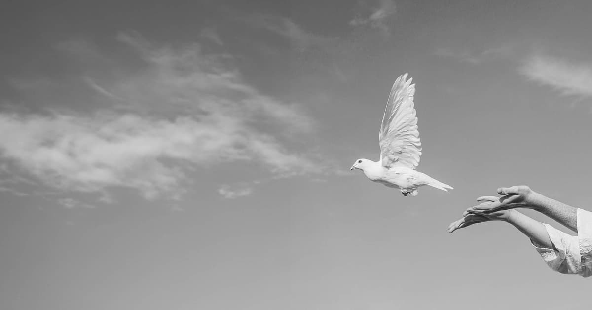 សន្តិភាព​ក្នុង​ចិត្ត​ដ៏​ជាប់លាប់ (សៀវភៅសេចក្ដីពិតសម្រាប់ជីវិត)