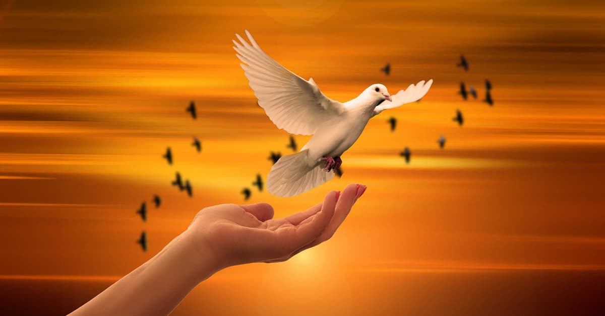 ការ​ថែរក្សា​ដ៏​ស្រទន់​របស់​ព្រះវរបិតា (សៀវភៅសេចក្ដីពិតសម្រាប់ជីវិត)