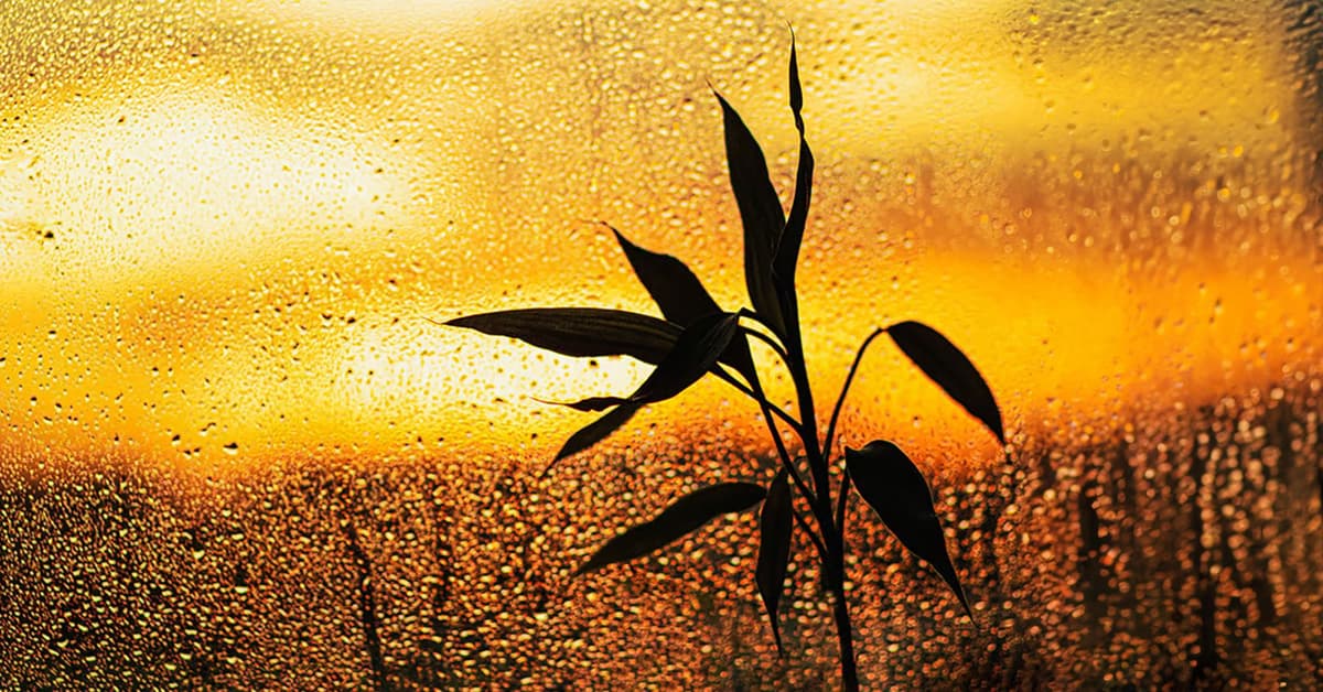 ព្រះចេស្ដា​ព្រះ​ក្នុង​ពេល​ដែល​ឈឺចាប់