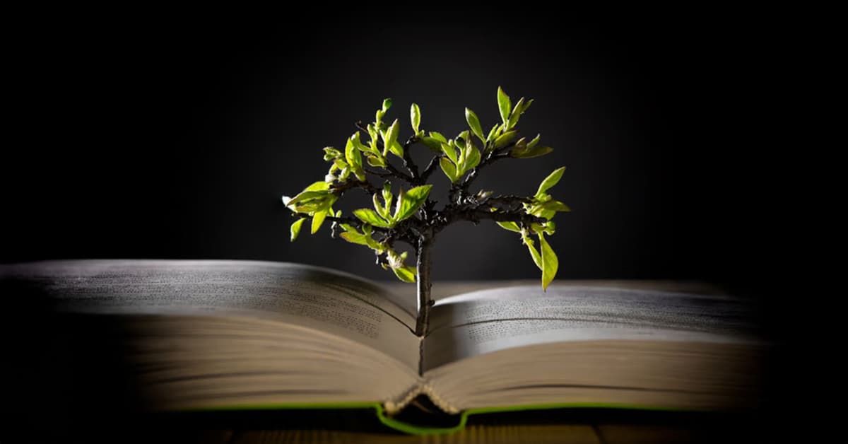 ការ​អញ្ជើញ​ឲ្យ​ទទួល​ប្រាជ្ញា