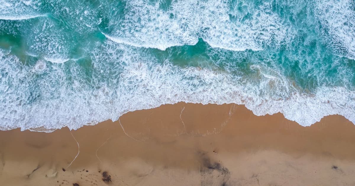 រូបកាយ​របស់​យើង​ដែល​នឹង​រស់​ឡើង​វិញ