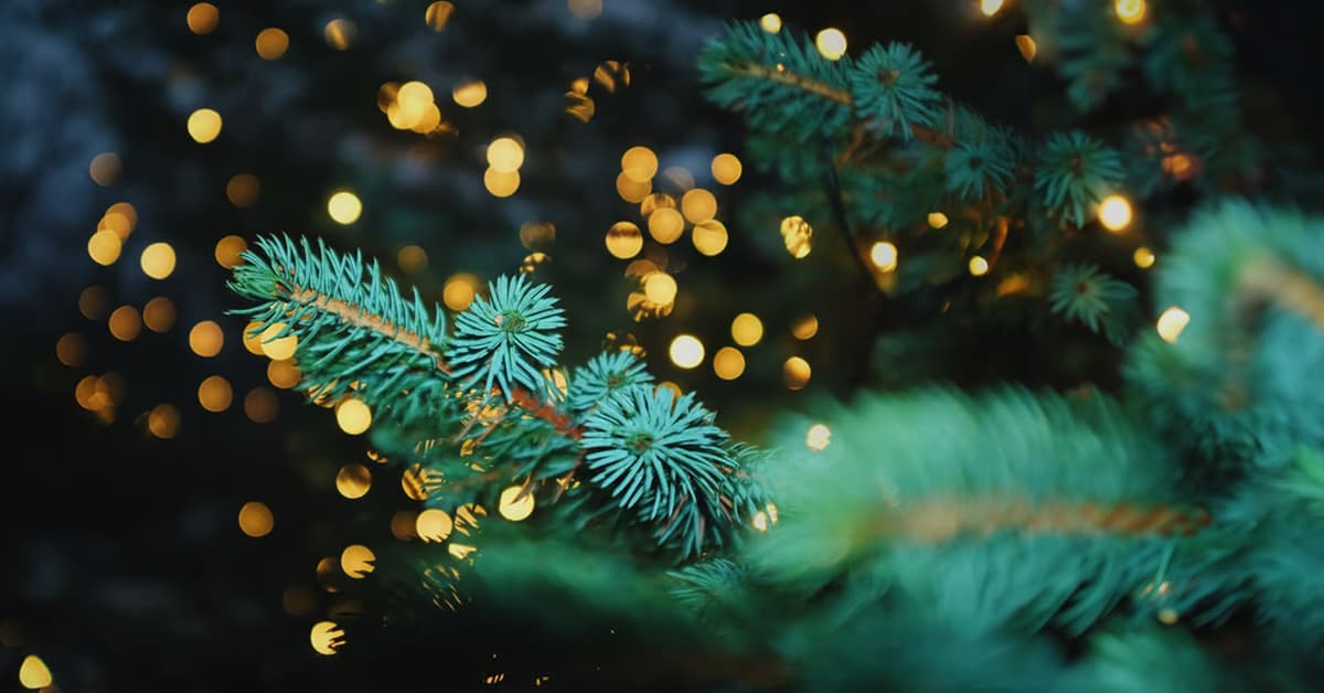 ការ​សម្រាក​ដោយ​អំណរ ក្នុង​លោកិយ​ដែល​វក់វី