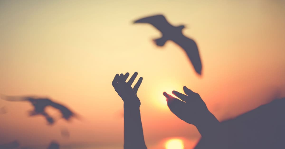 សេរី​ភាព​នៅ​ក្រោម​ការ​គ្រប់​គ្រង​របស់​ព្រះអង្គ