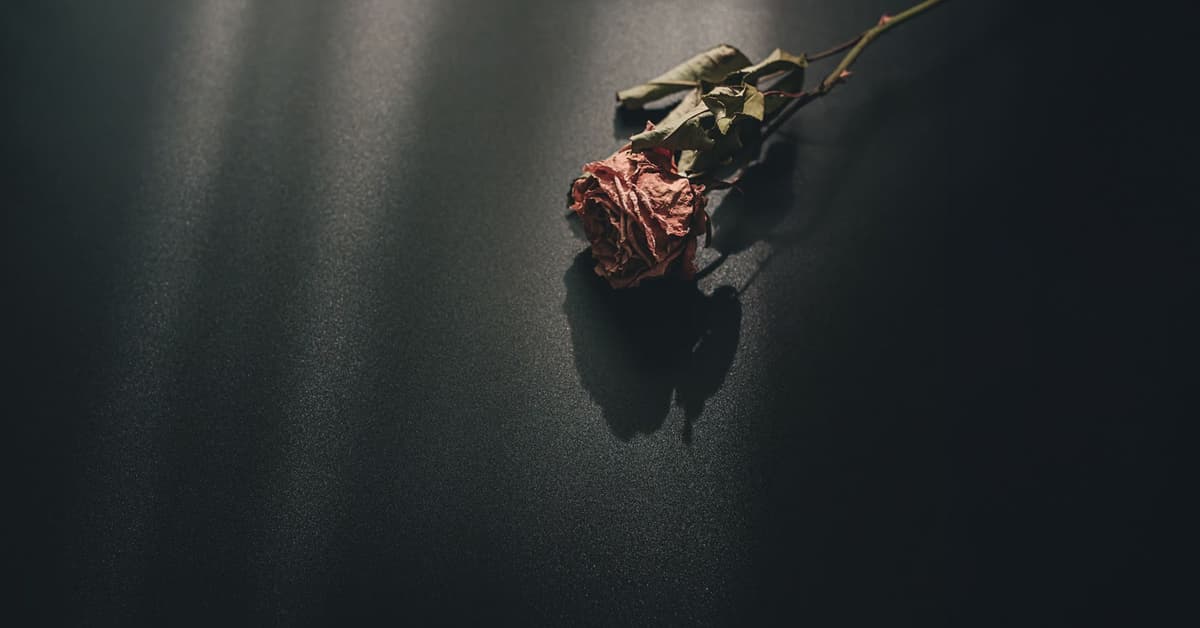 សេចក្តី​ស្លាប់​គឺជា​ច្រក​ទ្វារ