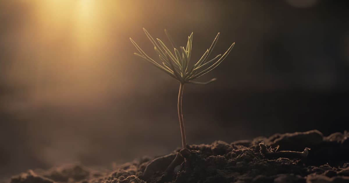 ការ​កម្សាន្ត​ចិត្ត​តាម​ផ្លូវ​របស់​ព្រះ