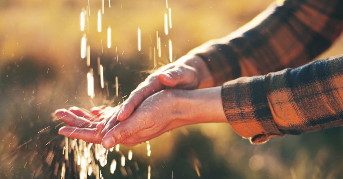 ព្រះពរ និង​បណ្ដាសា (សៀវភៅសេចក្ដីពិតសម្រាប់ជីវិត)