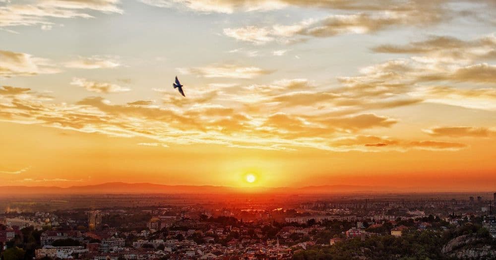 វិធី​សាស្រ្ត​ស្វែងរក​សន្តិភាព 