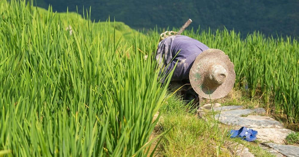 សុ​ចរិត​ក្នុង​ការ​ប្រព្រឹត្តិ