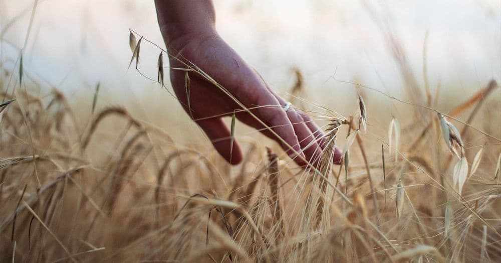 ប្រើ​ព្រះ​វត្ត​មាន​ព្រះ ដើម្បី​ប្រយោជន៍​ផ្ទាល់​ខ្លួន