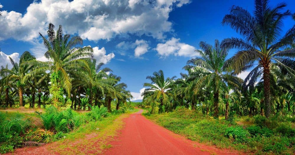 ដើម្បី​ដំណឹង​ល្អ