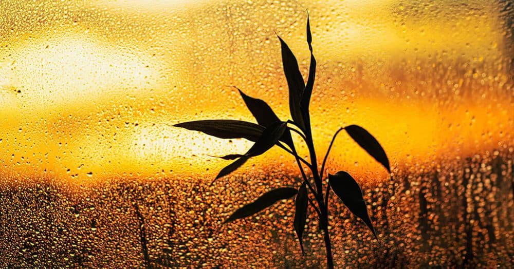 ព្រះចេស្ដា​ព្រះ​ក្នុង​ពេល​ដែល​ឈឺចាប់