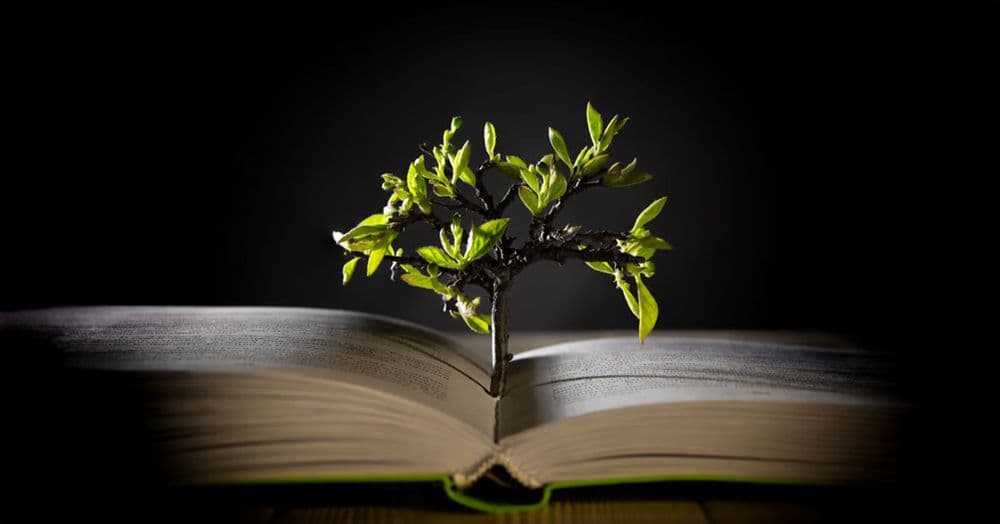 ការ​អញ្ជើញ​ឲ្យ​ទទួល​ប្រាជ្ញា