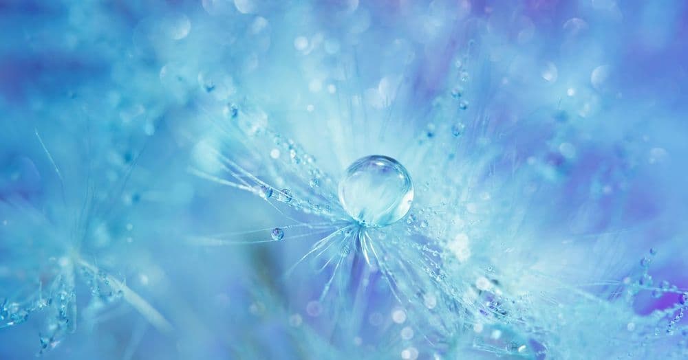 ទឹក​រស់