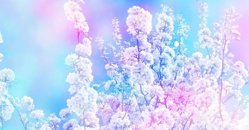 រស់នៅ​ជា​មនុស្ស​ដែល​បាន​រស់​ឡើង​វិញ