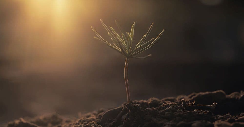 ការ​កម្សាន្ត​ចិត្ត​តាម​ផ្លូវ​របស់​ព្រះ