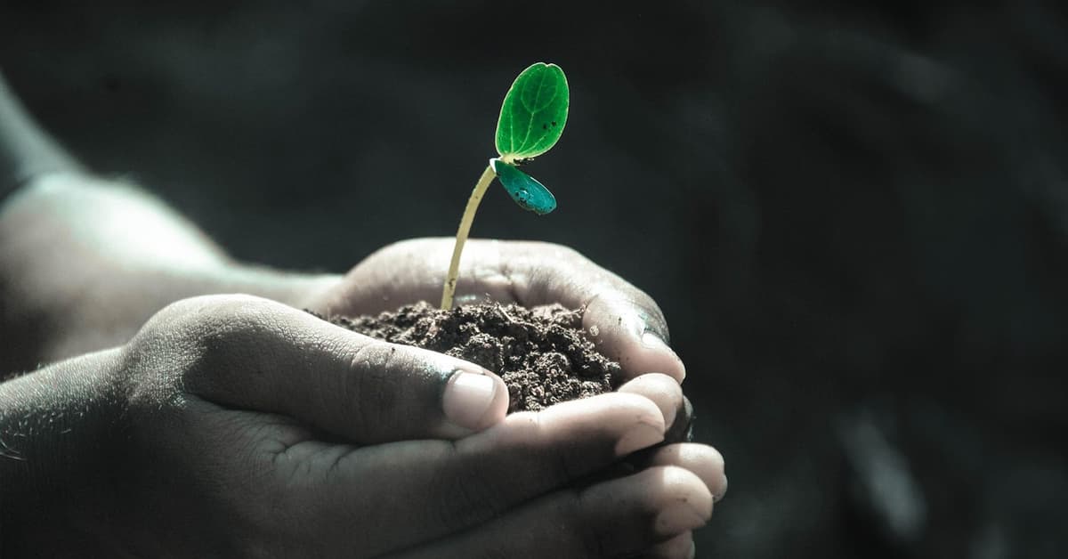 ព្រះនៃសេចក្តីសង្ឃឹម (សៀវភៅសេចក្ដីពិតសម្រាប់ជីវិត)