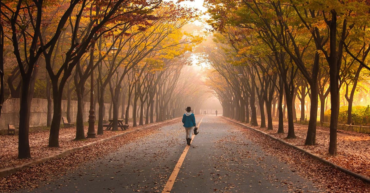 ដើរដោយប្រុងប្រយ័ត្ន (សៀវភៅសេចក្ដីពិតសម្រាប់ជីវិត)