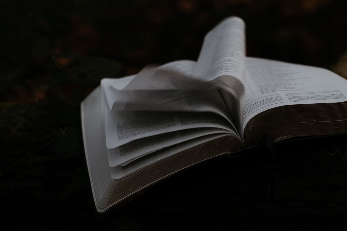 តើប្រកបដោយប្រាជ្ញា ឬល្ងង់ខ្លៅ?