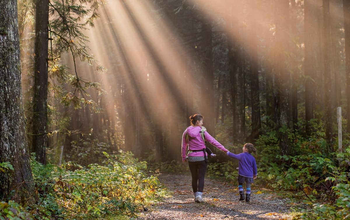 សួនច្បាររបស់ព្រះ