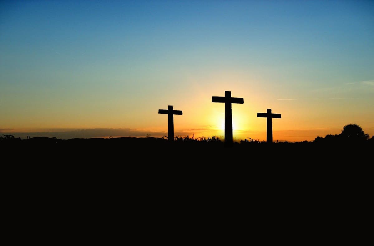 ភាពស្រស់ស្អាត ក្នុងចំណោមគុម្ពបន្លា