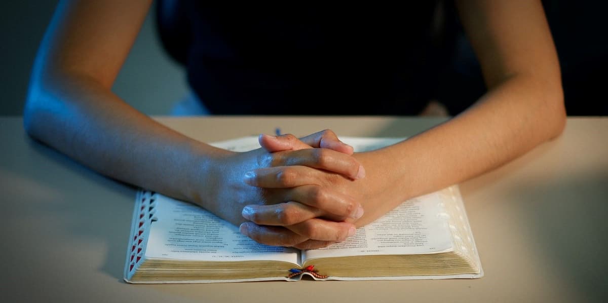 ដាំក្បាលចុះទៅរកគ្រោះមហន្តរាយ