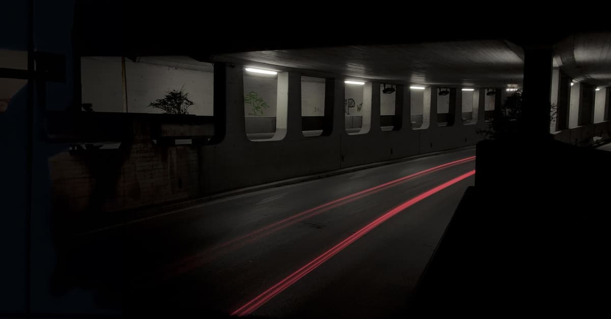 ផ្លូវនៃការមិនជឿព្រះ (សៀវភៅសេចក្ដីពិតសម្រាប់ជីវិត)