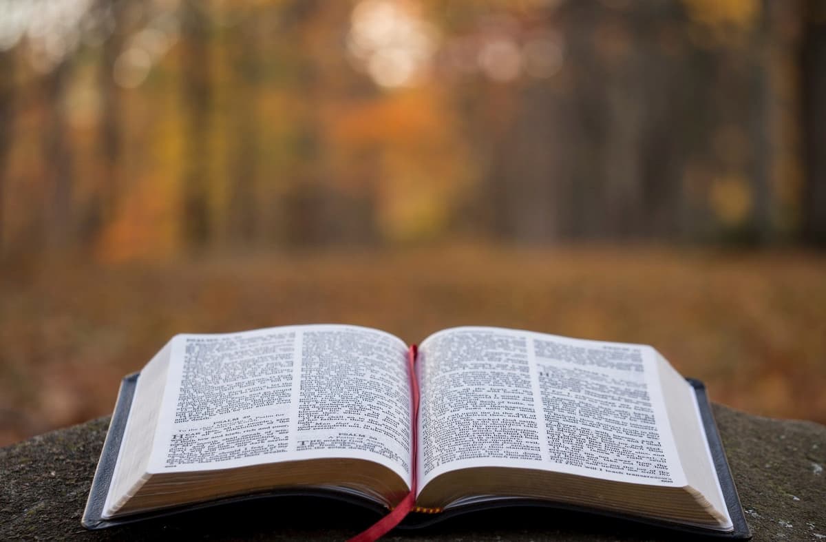 តើវាជារឿងធម្មតា? ឬជារឿងអាក្រក់?