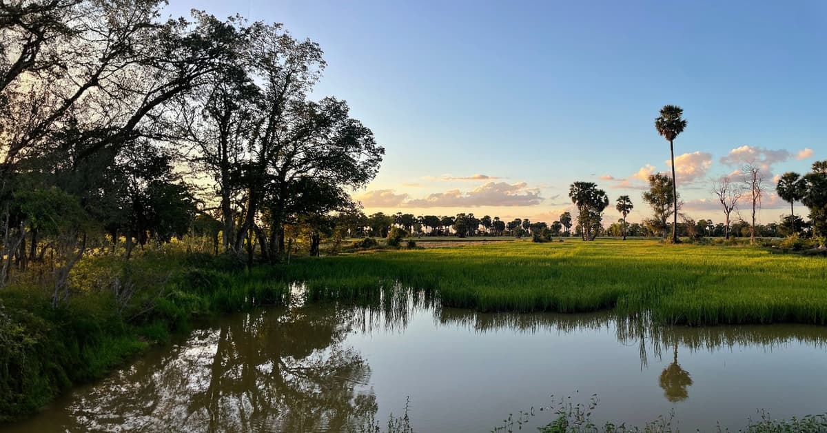 លែងនឹកចាំព្រះអម្ចាស់