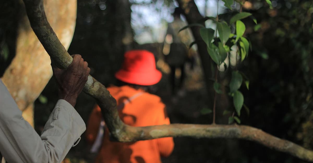 ក្តីសង្ឃឹមរបស់យើងថា នឹងបានរស់ឡើងវិញ