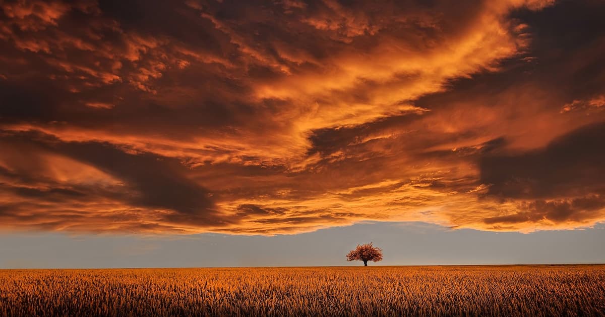 សេចក្តីមេត្តាមានភាពអស្ចារ្យ (សៀវភៅសេចក្ដីពិតសម្រាប់ជីវិត)