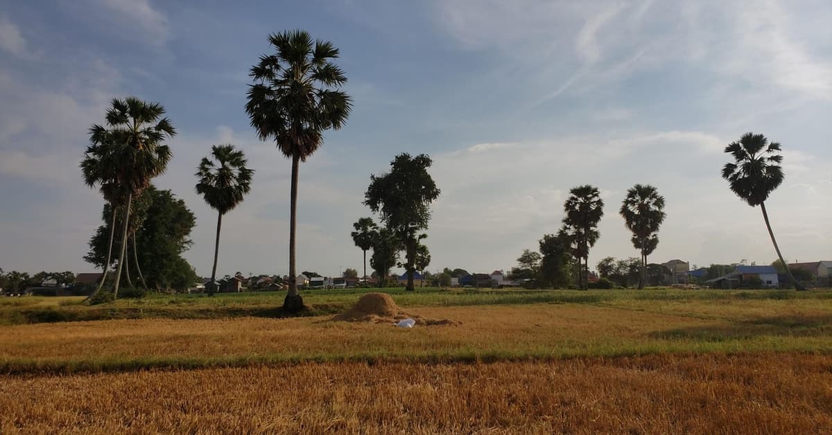 នៅមានវគ្គបន្ត...