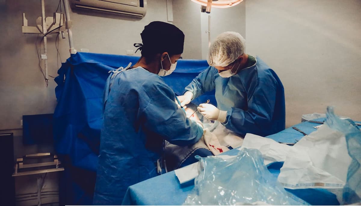 ច្រៀងសរសើរដំកើងព្រះ