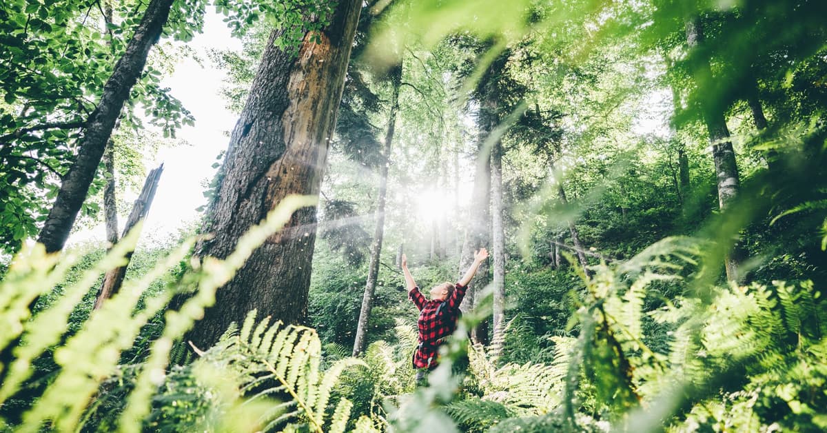 ព្រះអង្គបានលោះបំណុលយើងរួចហើយ (សៀវភៅសេចក្ដីពិតសម្រាប់ជីវិត)