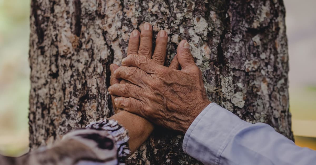 កូននៃការលើកទឹកចិត្ត (សៀវភៅសេចក្ដីពិតសម្រាប់ជីវិត)