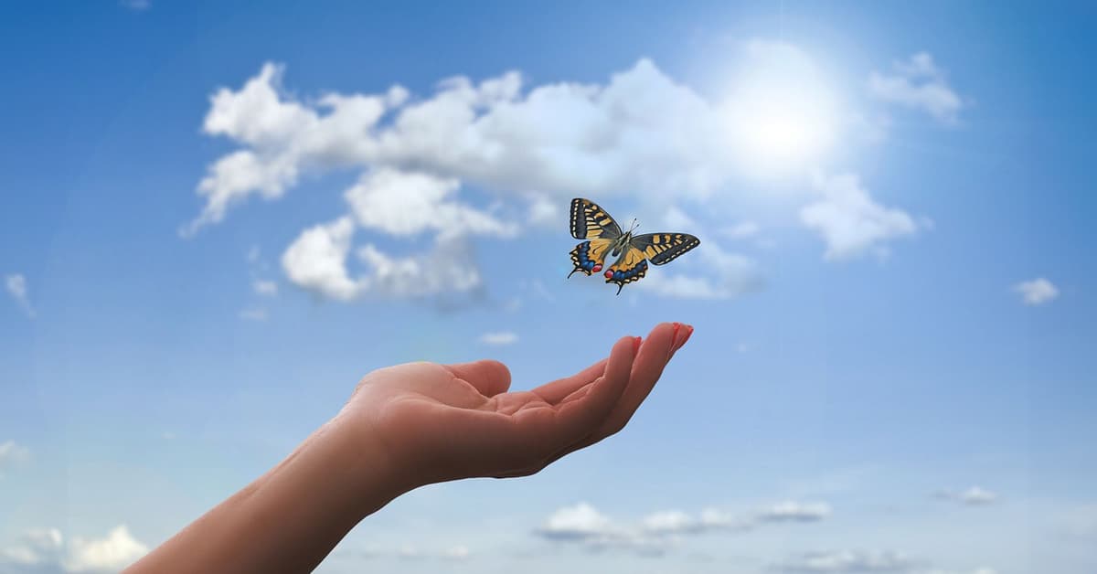 ឈ្នះសេចក្តីអាក្រក់ (សៀវភៅសេចក្ដីពិតសម្រាប់ជីវិត)